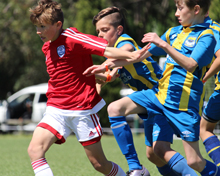 2016 Sydney International Cup